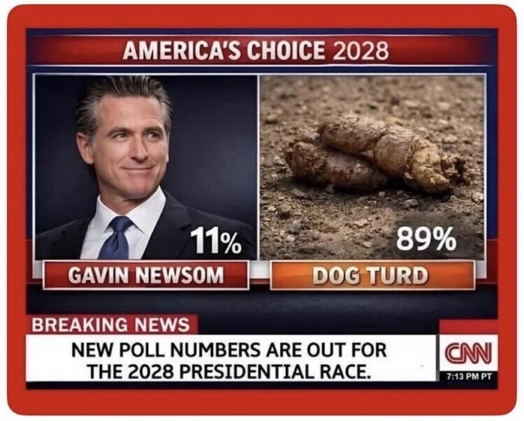 AMERICA'S CHOICE 2028 GAVIN NEWSOM 11% DOG TURD 89% BREAKING NEWS NEW POLL NUMBERS ARE OUT FOR THE 2028 PRESIDENTIAL RACE. CNN 7:13 PM PT