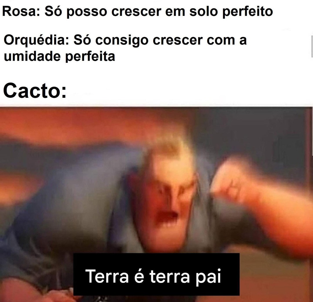 Rosa: Só posso crescer em solo perfeito
Orquídea: Só consigo crescer com a umidade perfeita
Cacto:
Terra é terra pai