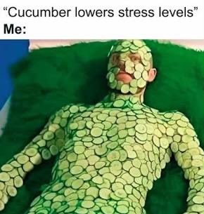Cucumber lowers stress levels Me: