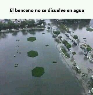 El benceno no se disuelve en agua