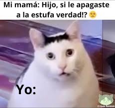 Mi mamá: Hijo, si le apagaste a la estufa verdad!? Yo: