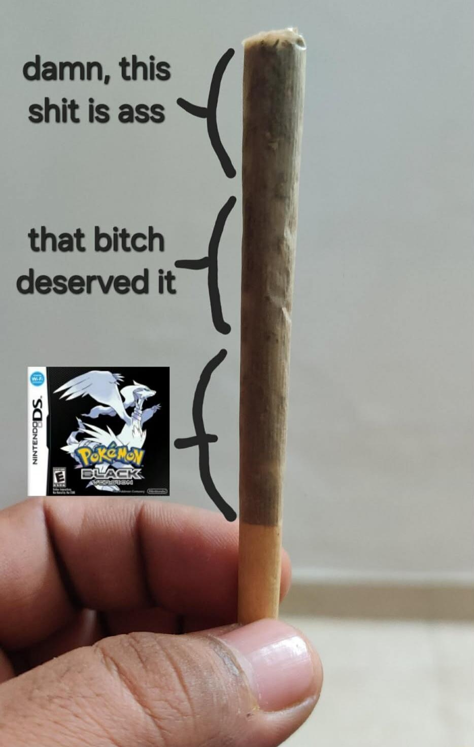 damn, this shit is ass that bitch deserved it Pokemon Black Version