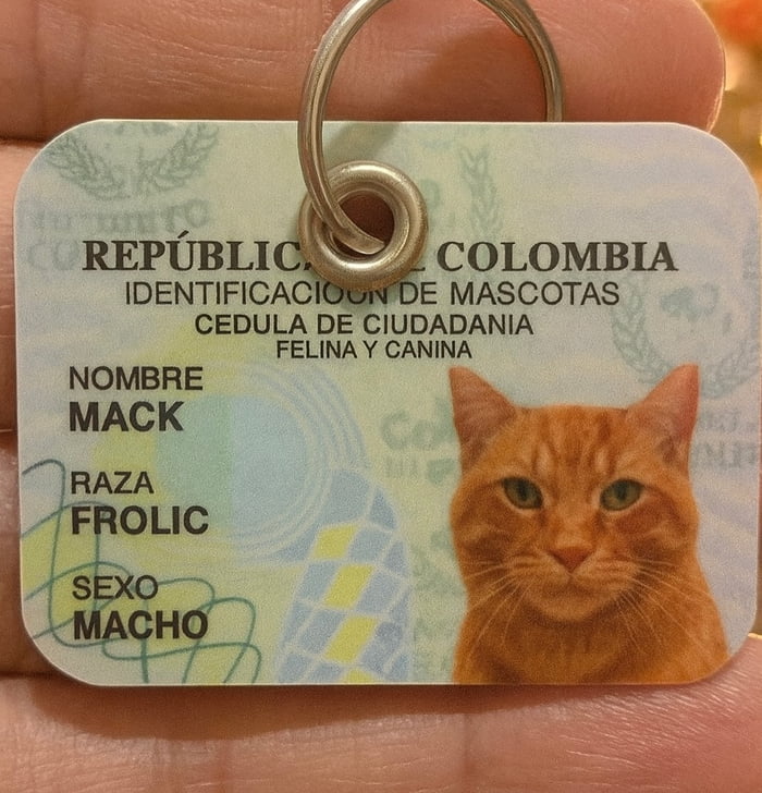 REPÚBLICA COLOMBIA IDENTIFICACIÓN DE MASCOTAS CÉDULA DE CIUDADANÍA FELINA Y CANINA NOMBRE MACK RAZA FROLIC SEXO MACHO