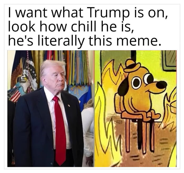 Quiero lo que sea que esté tomando Trump, mira lo tranquilo que está, es literalmente este meme.