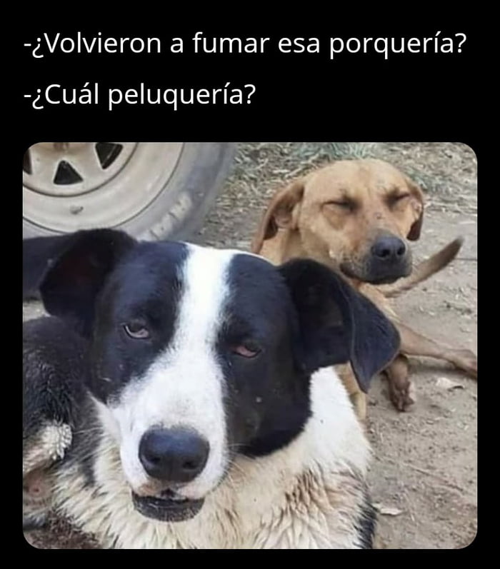 ¿Volvieron a fumar esa porquería? ¿Cuál peluquería?