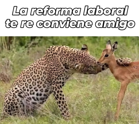 La reforma laboral te re conviene amigo
