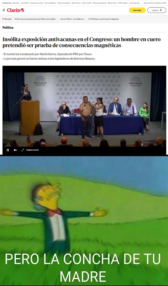 Insólita exposición antivacunas en el Congreso: un hombre en cuero pretendió ser prueba de consecuencias magnéticas. El evento fue encabezado por Marilú Quiroz, diputada del PRO por Chaco. La jornada generó un fuerte rechazo entre legisladores de distintos bloques. PERO LA CONCHA DE TU MADRE