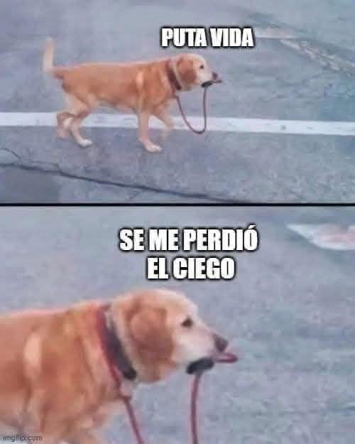 Puta vida. Se me perdió el ciego.