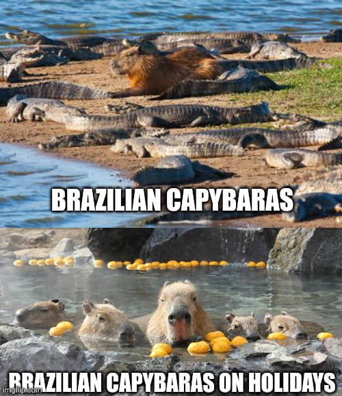 CAPIVARAS BRASILEIRAS. CAPIVARAS BRASILEIRAS DE FÉRIAS.