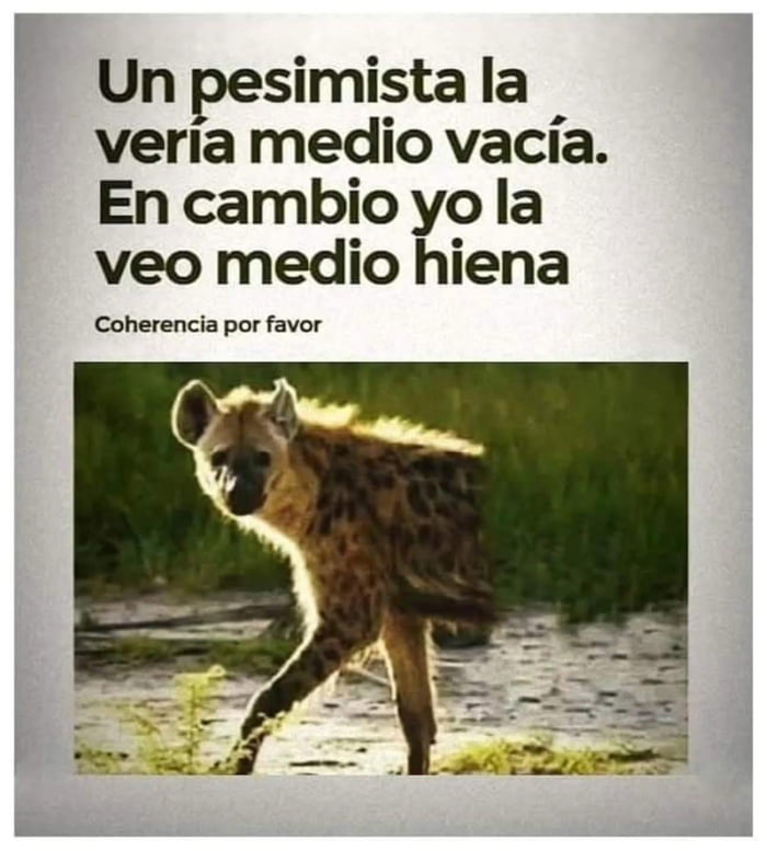 Un pesimista la vería medio vacía. En cambio yo la veo medio hiena. Coherencia por favor
