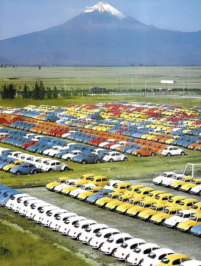 Una vasta extensión de campo verde con miles de coches Volkswagen Beetle (Vocho) de varios colores, como blanco, amarillo, azul, rojo y naranja, estacionados en filas ordenadas. Al fondo se alza una majestuosa montaña con la cima nevada bajo un cielo azul claro.