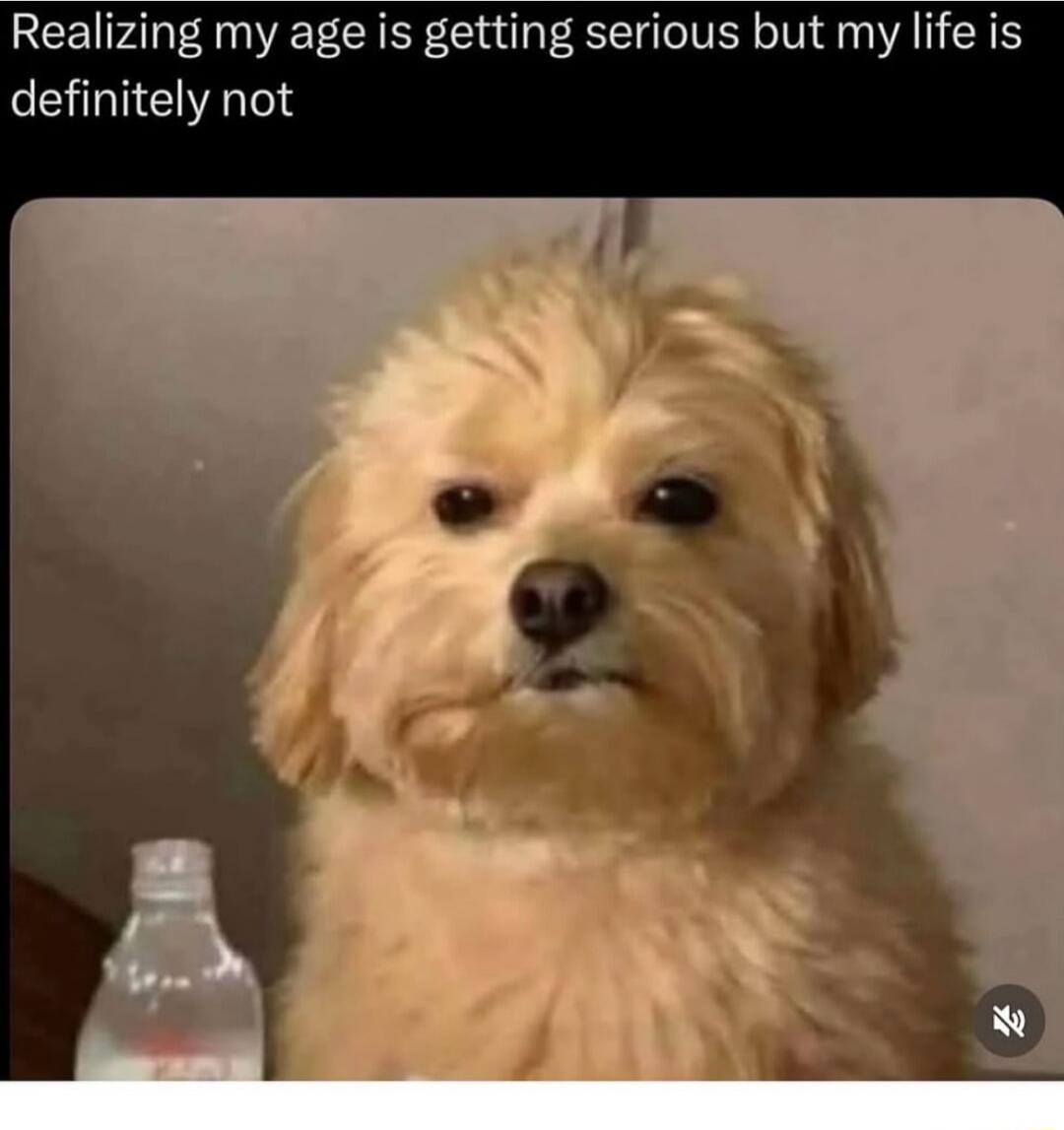 Realizing my age is getting serious but my life is definitely not