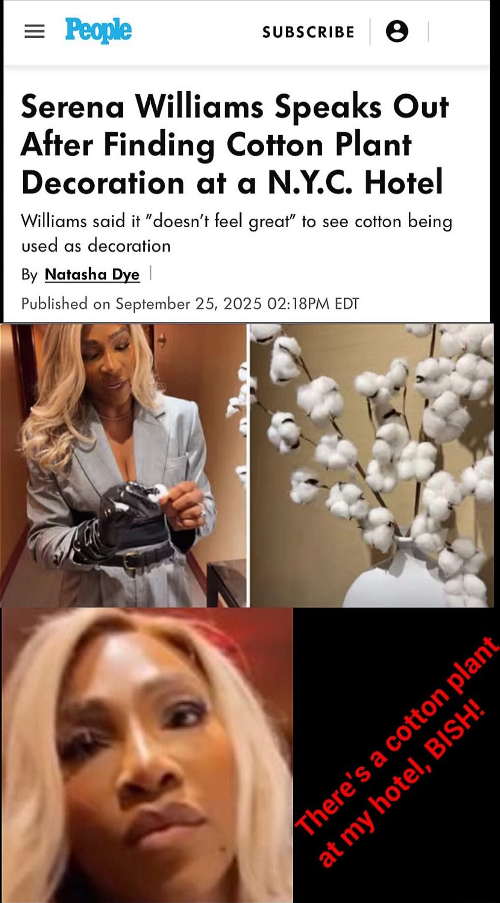 Serena Williams Speaks Out After Finding Cotton Plant Decoration at a N.Y.C. Hotel. Williams said it 