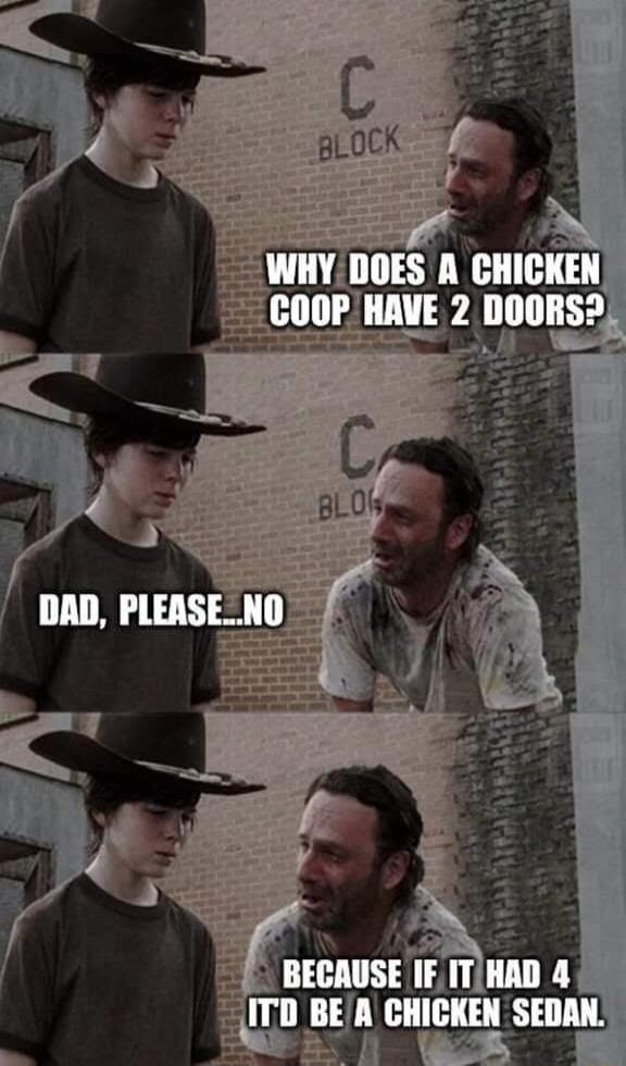 WHY DOES A CHICKEN COOP HAVE 2 DOORS? DAD, PLEASE...NO BECAUSE IF IT HAD 4 IT'D BE A A CHICKEN SEDAN.