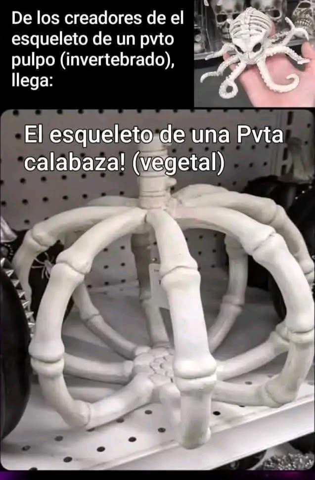 De los creadores de el esqueleto de un pvto pulpo (invertebrado), llega: El esqueleto de una Pvta calabaza! (vegetal)