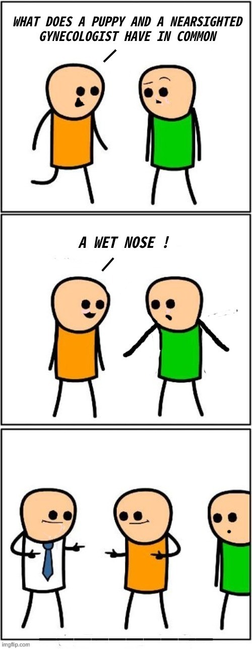 WHAT DOES A PUPPY AND A NEARSIGHTED GYNECOLOGIST HAVE IN COMMON A WET NOSE !