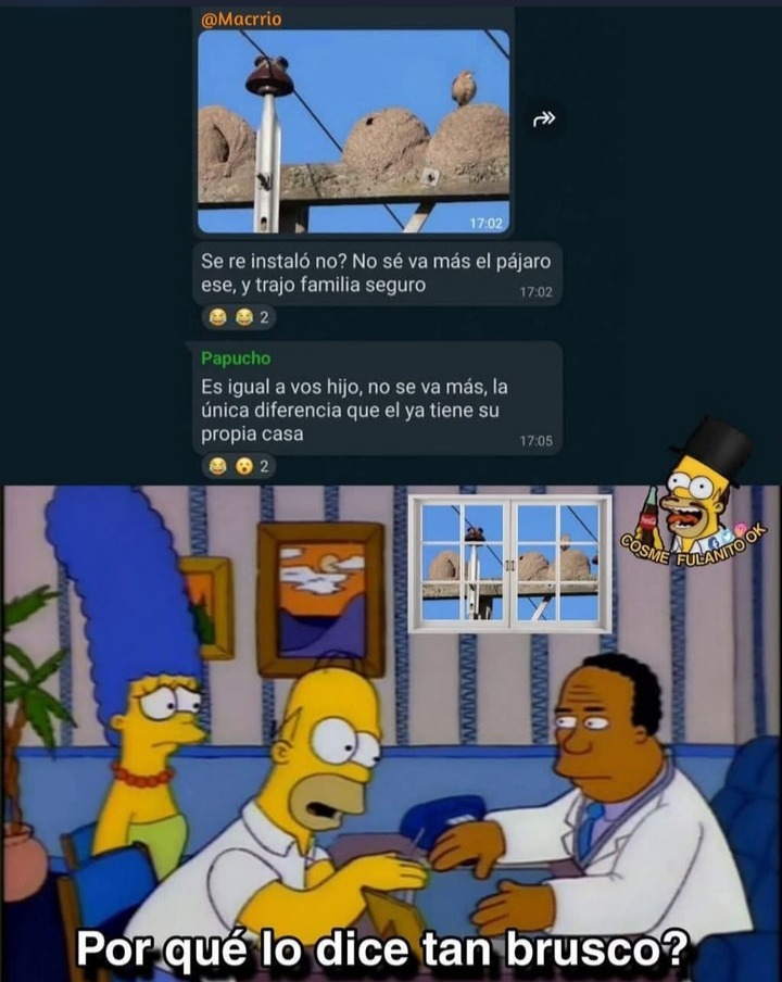 @Maccrrio Se re instaló no? No sé va más el pájaro ese, y trajo familia seguro Papucho Es igual a vos hijo, no se va más, la única diferencia que el ya tiene su propia casa Por qué lo dice tan brusco?