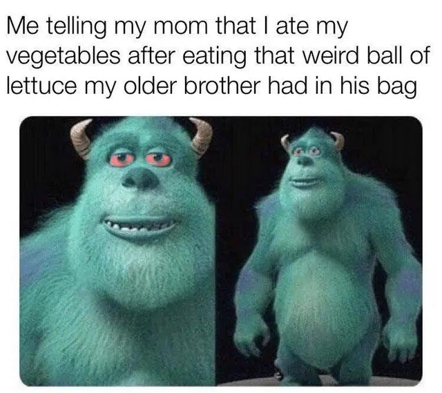 Me telling my mom that I ate my vegetables after eating that weird ball of lettuce my older brother had in his bag