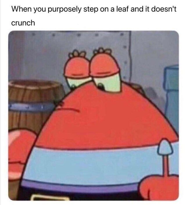 When you purposely step on a leaf and it doesn't crunch