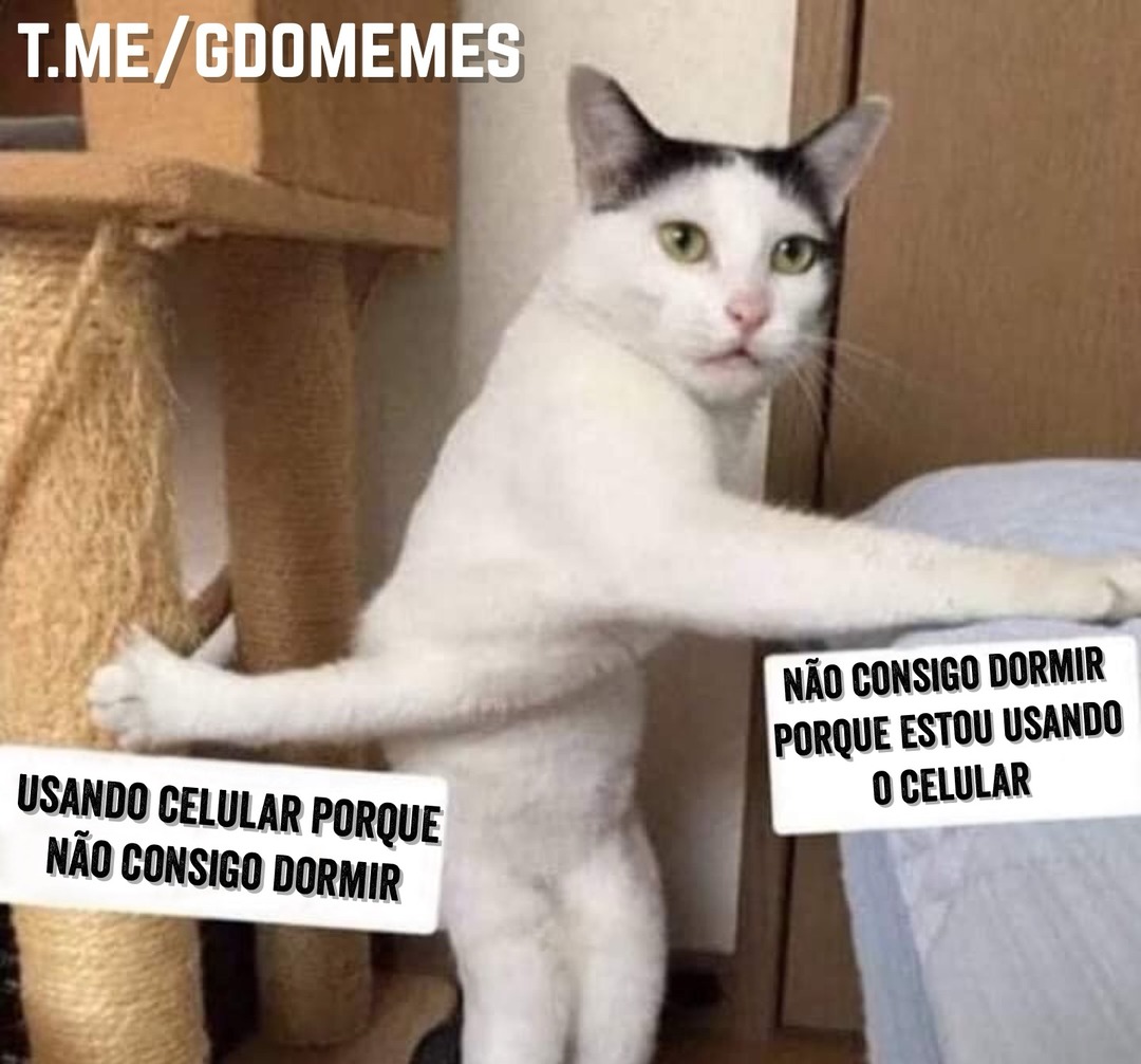 T.ME/GDOMEMES. Usando celular porque não consigo dormir. Não consigo dormir porque estou usando o celular.