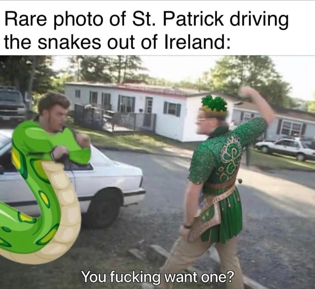 Rare photo of St. Patrick driving the snakes out of Ireland: You fucking want one?