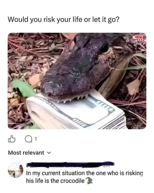 Would you risk your life or let it go? MEME ZAR Most relevant In my current situation the one who is risking his life is the crocodile