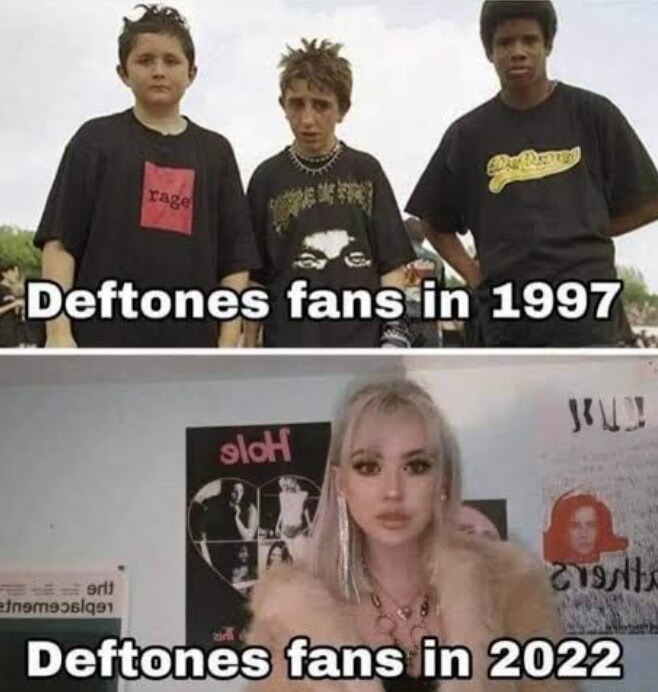 Deftones fans in 1997. Deftones fans in 2022. rage. Hole.