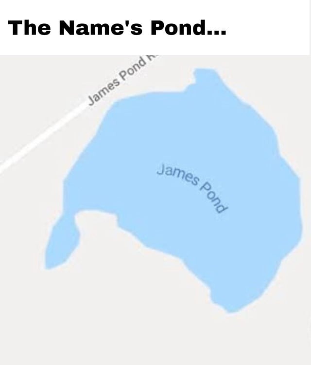 The Name's Pond... James Pond
