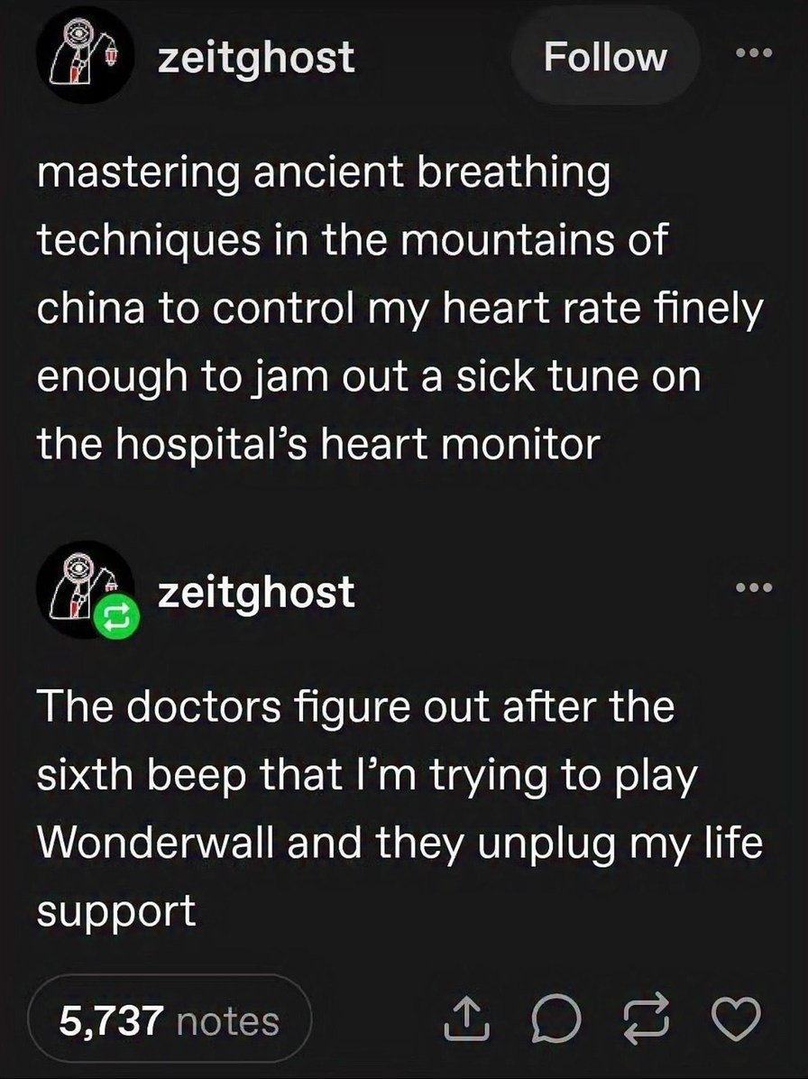 mastering ancient breathing techniques in the mountains of china to control my heart rate finely enough to jam out a sick tune on the hospital's heart monitor The doctors figure out after the sixth beep that I'm trying to play Wonderwall and they unplug my life support