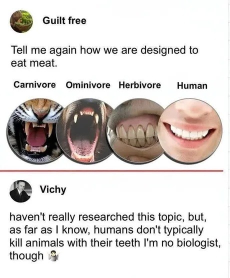 Guilt free. Tell me again how we are designed to eat meat. Carnivore Omnivore Herbivore Human. Vichy. I haven't really researched this topic, but, as far as I know, humans don't typically kill animals with their teeth. I'm no biologist, though 🤷‍♂️