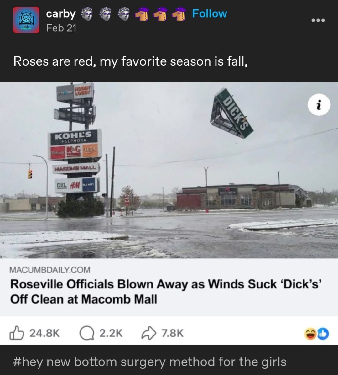 Roses are red, my favorite season is fall, Roseville Officials Blown Away as Winds Suck 'Dick's' Off Clean at Macomb Mall. #hey new bottom surgery method for the girls