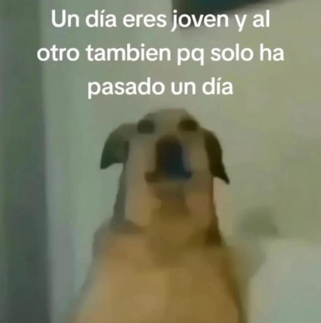 Un día eres joven y al otro también pq solo ha pasado un día