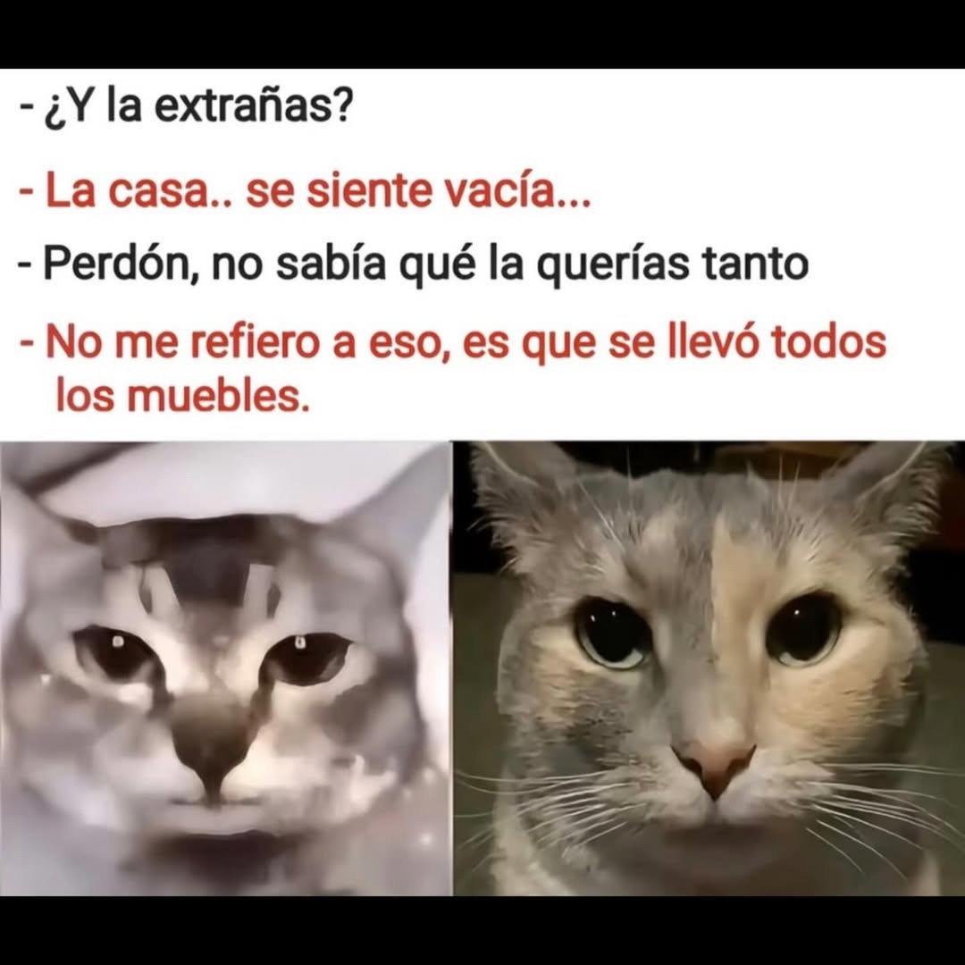 ¿Y la extrañas? La casa... se siente vacía... Perdón, no sabía qué la querías tanto No me refiero a eso, es que se llevó todos los muebles.