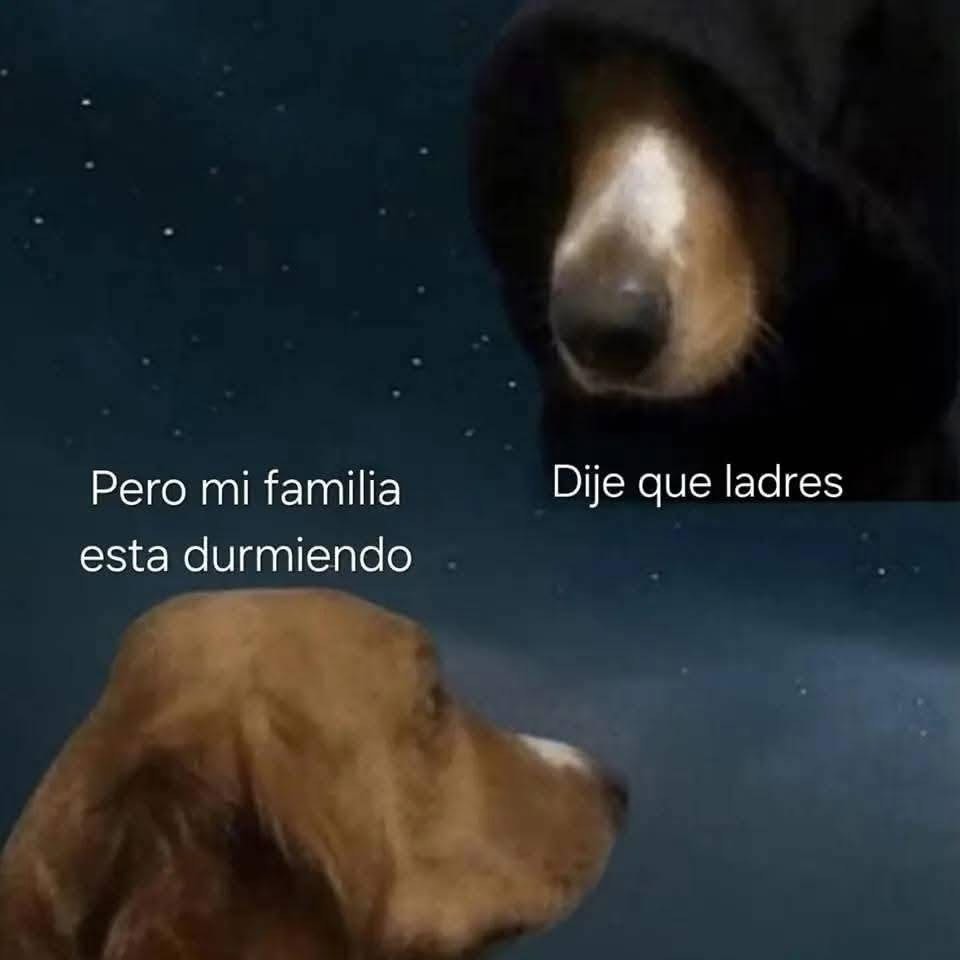 Dije que ladres. Pero mi familia esta durmiendo.