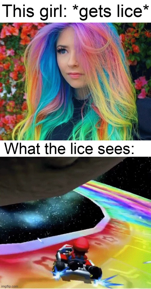 This girl: *gets lice* What the lice sees: