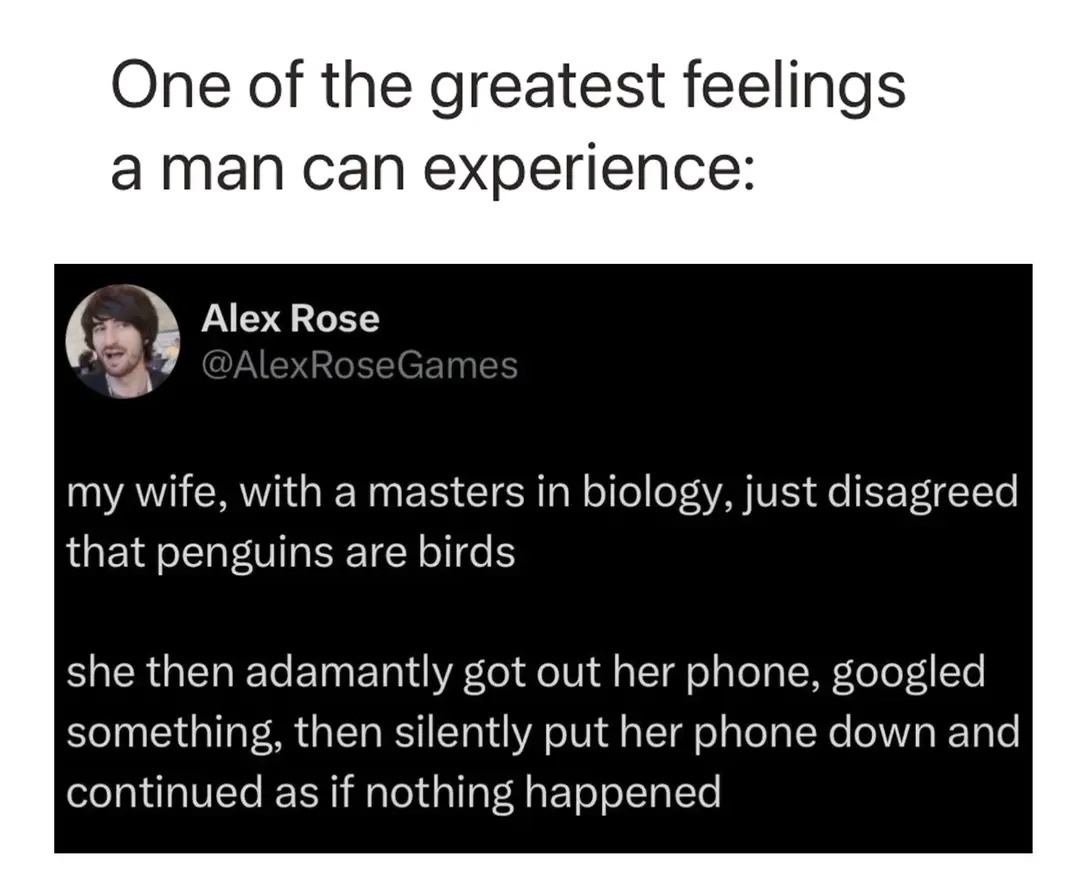One of the greatest feelings a man can experience: Alex Rose @AlexRoseGames my wife, with a masters in biology, just disagreed that penguins are birds she then adamantly got out her phone, googled something, then silently put her phone down and continued as if nothing happened