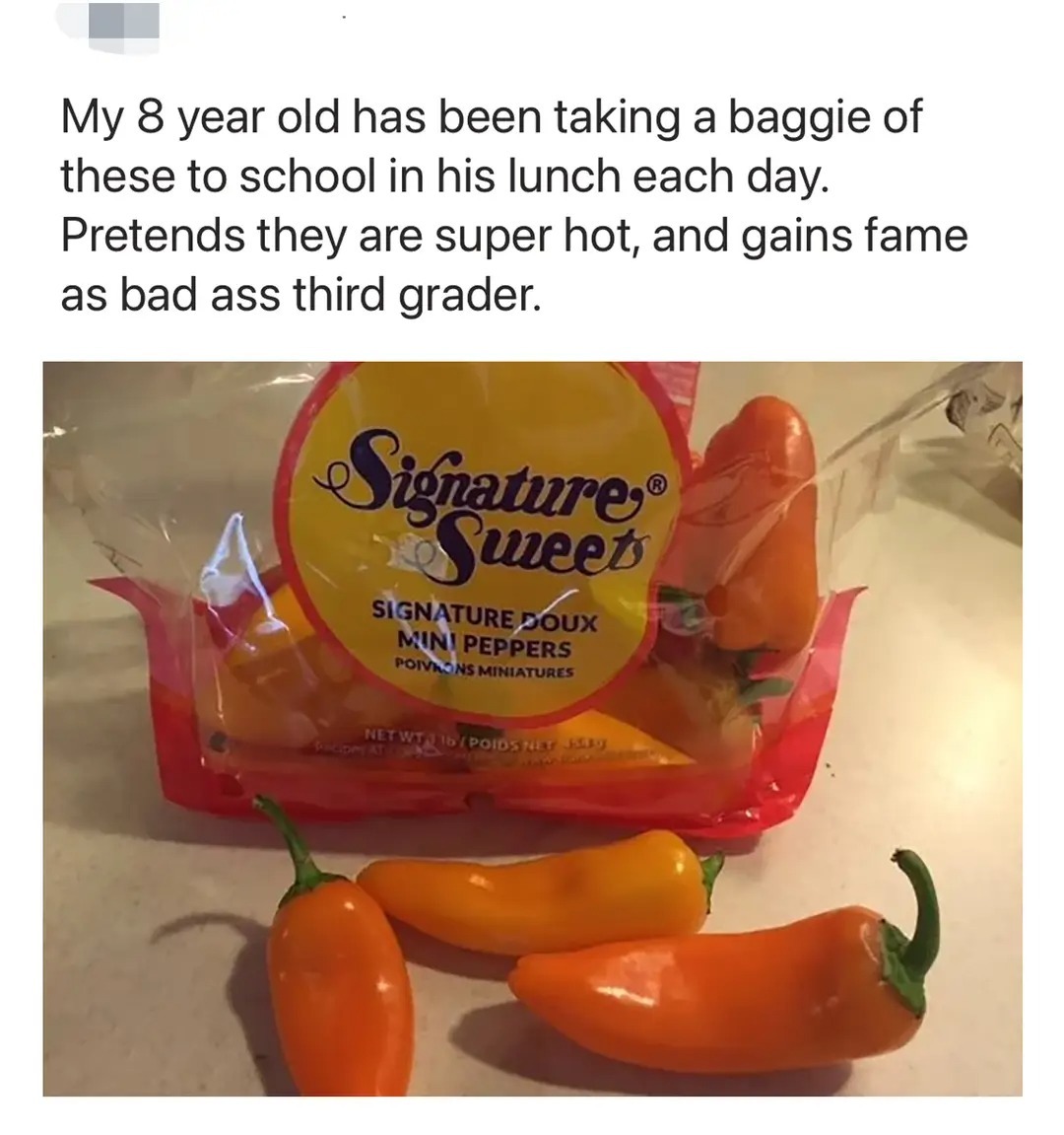 My 8 year old has been taking a baggie of these to school in his lunch each day. Pretends they are super hot, and gains fame as bad ass third grader. Signature Sweets Signature Doux Mini Peppers Poivrons Miniatures