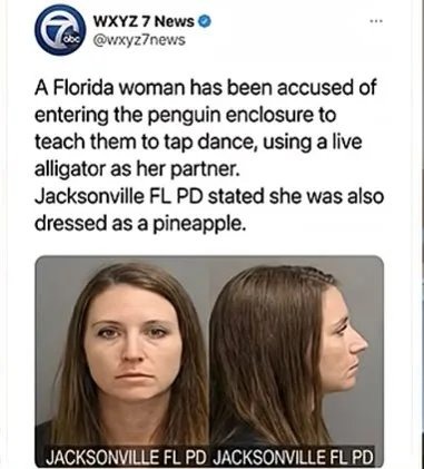 WXYZ 7 News @wxyz7news A Florida woman has been accused of entering the penguin enclosure to teach them to tap dance, using a live alligator as her partner. Jacksonville FL PD stated she was also dressed as a pineapple. JACKSONVILLE FL PD JACKSONVILLE FL PD