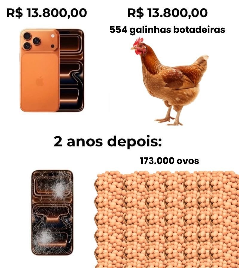 R$ 13.800,00 R$ 13.800,00 554 galinhas botadeiras 2 anos depois: 173.000 ovos