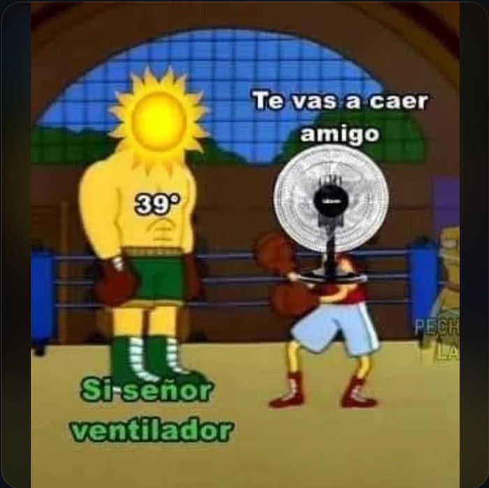 Te vas a caer amigo. 39°. Si señor ventilador.