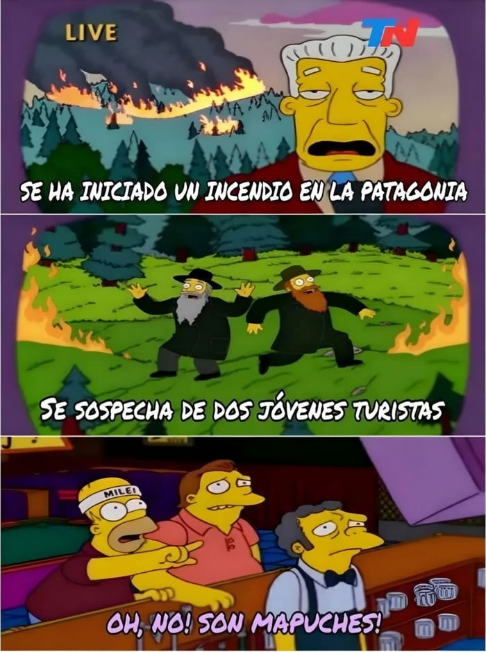 SE HA INICIADO UN INCENDIO EN LA PATAGONIA. SE SOSPECHA DE DOS JÓVENES TURISTAS. OH, NO! SON MAPUCHES!