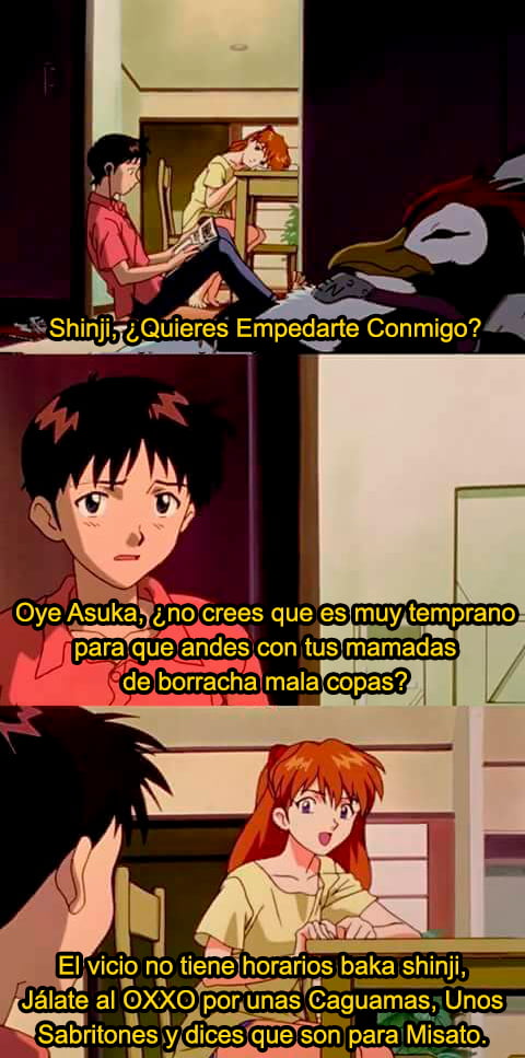 Shinji, ¿Quieres Empedarte Conmigo? Oye Asuka, ¿no crees que es muy temprano para que andes con tus mamadas de borracha mala copas? El vicio no tiene horarios baka shinji, Jálate al OXXO por unas Caguamas, Unos Sabritones y dices que son para Misato.