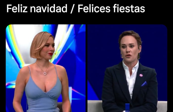 Feliz navidad / Felices fiestas