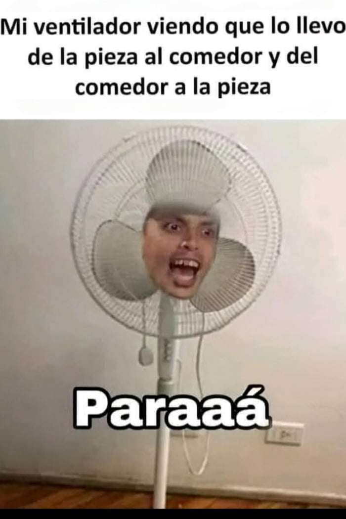 Mi ventilador viendo que lo llevo de la pieza al comedor y del comedor a la pieza Paraaá