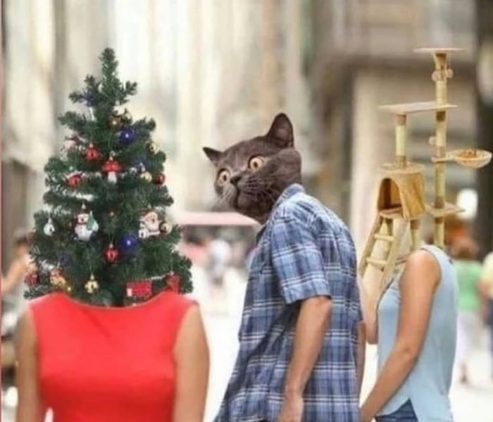 Un meme que parodia la imagen del 'novio distraído', donde las cabezas han sido reemplazadas por un árbol de Navidad, la cabeza de un gato y un rascador para gatos. El gato mira con asombro el árbol de Navidad mientras pasa junto al rascador.