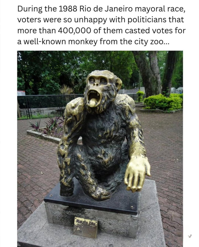 Durante a corrida eleitoral para a prefeitura do Rio de Janeiro em 1988, os eleitores estavam tão insatisfeitos com os políticos que mais de 400.000 deles votaram em um macaco conhecido do zoológico da cidade...