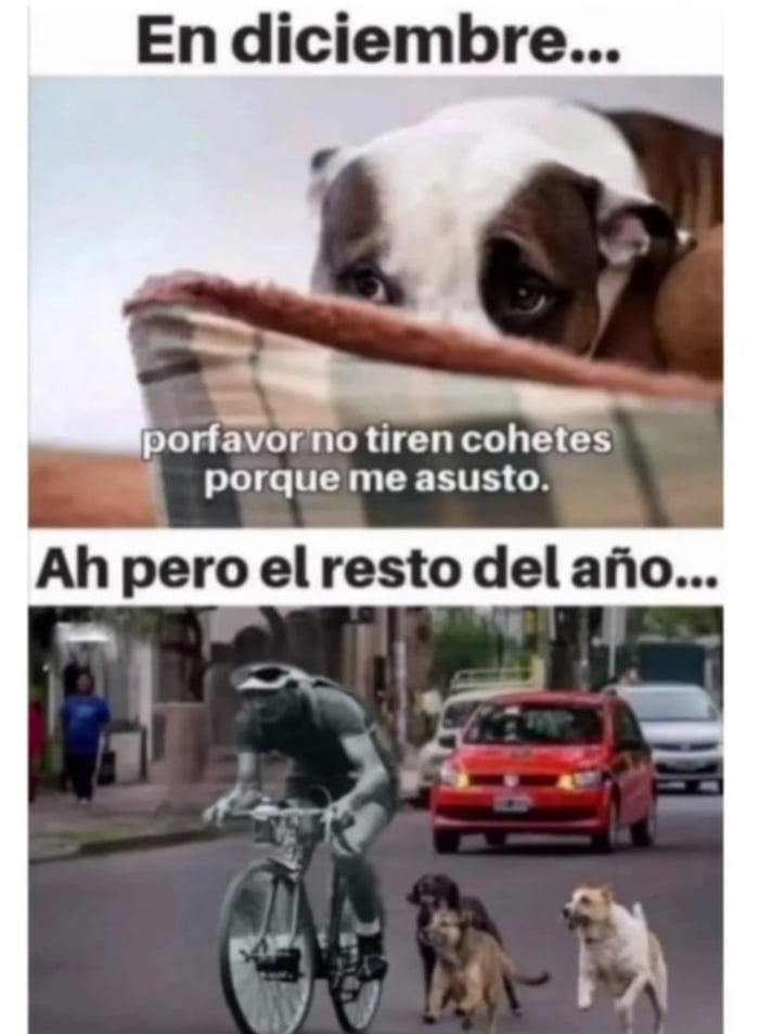 En diciembre... porfavor no tiren cohetes porque me asusto. Ah pero el resto del año...