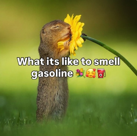 What its like to smell gasoline 💐🥰⛽