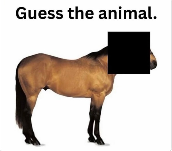 Guess the animal.