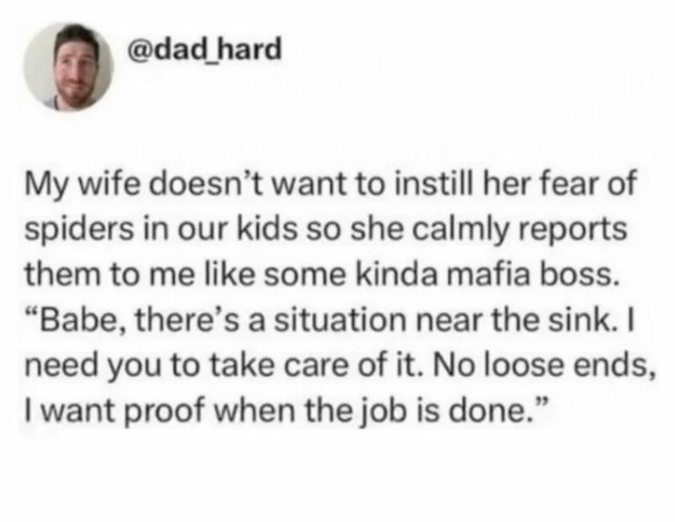 My wife doesn't want to instill her fear of spiders in our kids so she calmly reports them to me like some kinda mafia boss. 